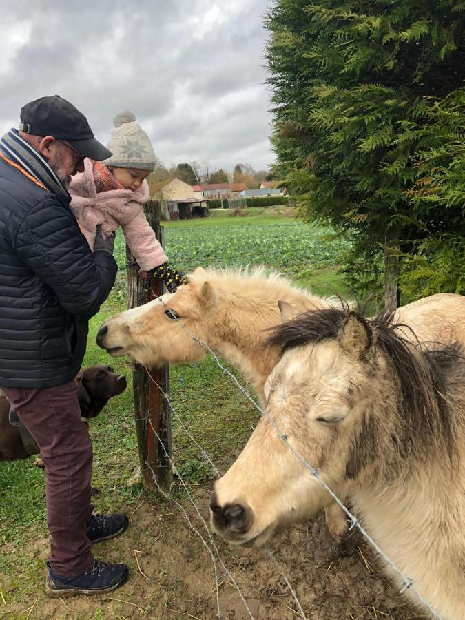Séjour chez l'habitant En Rez De Jardin Gland